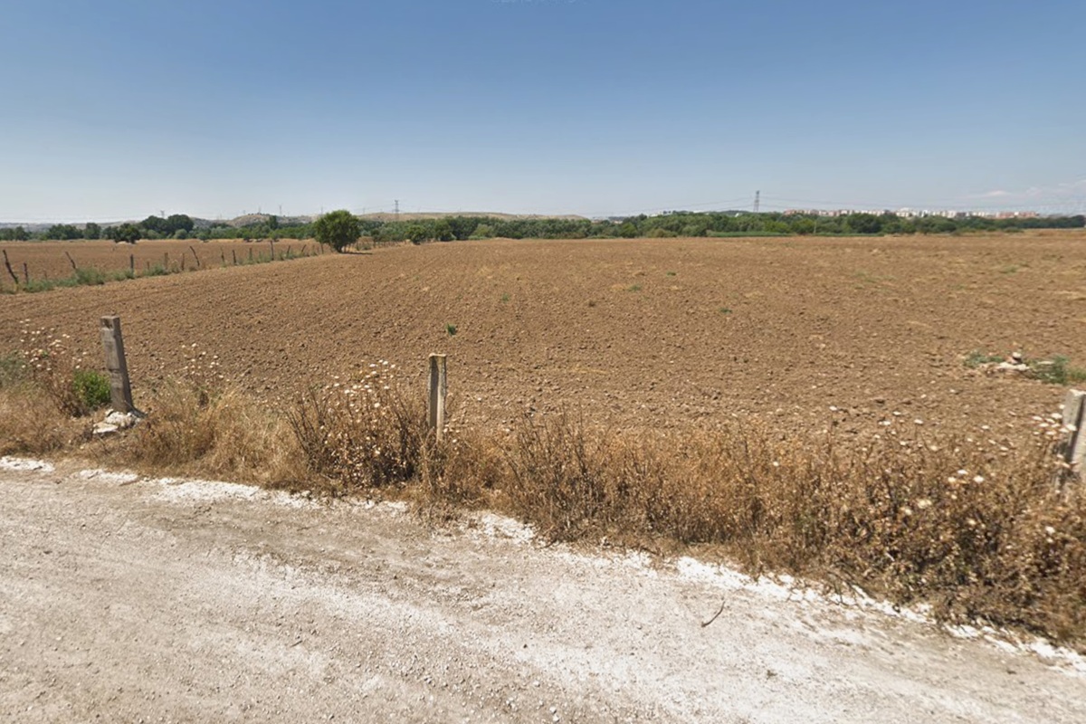 Finca cerealista del nuevo coto de caza de pelo de San Fernando de Henares